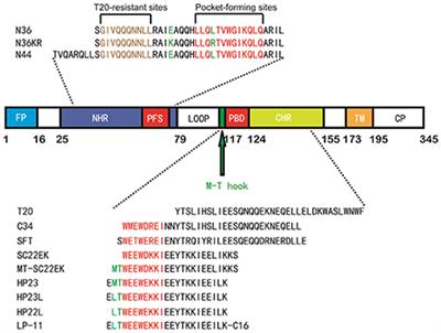 Structural Insights into the Mechanisms of Action of Short-Peptide HIV-1 Fusion Inhibitors Targeting the Gp41 Pocket